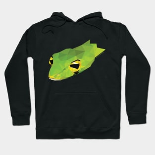 Big-Eyed Whip Snake Hoodie